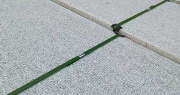 新疆 芝麻白斧剁面