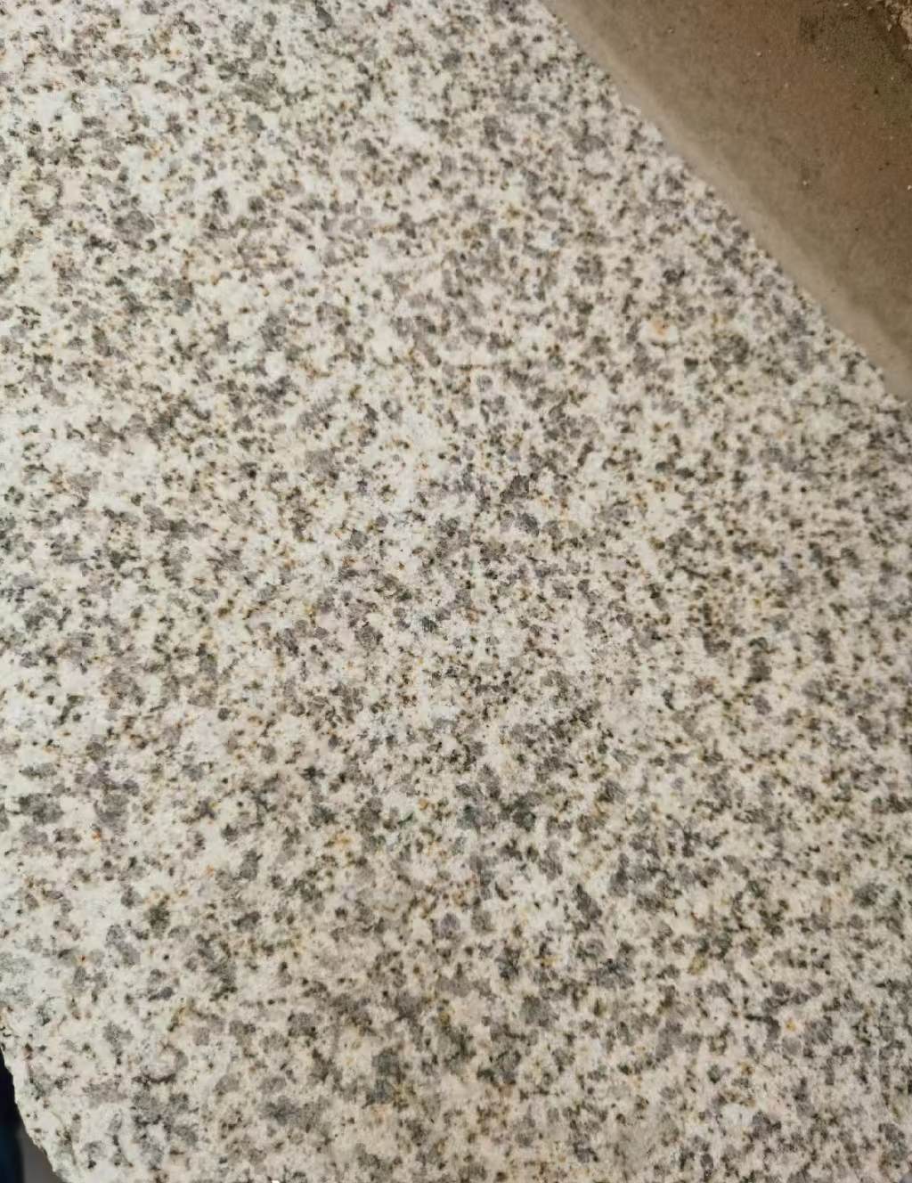 新疆 黄金麻中黄光面