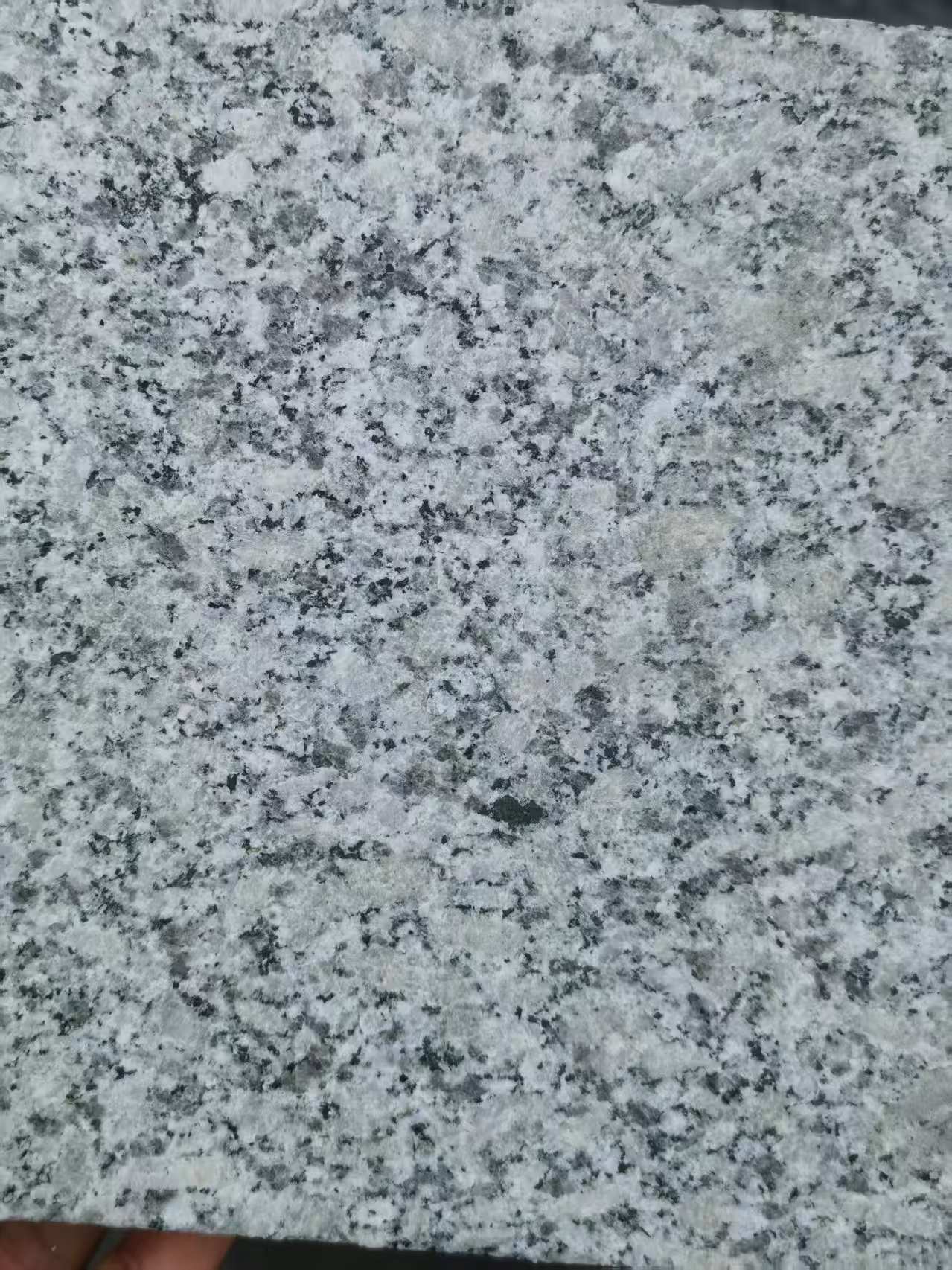 新疆 芙蓉白火烧面