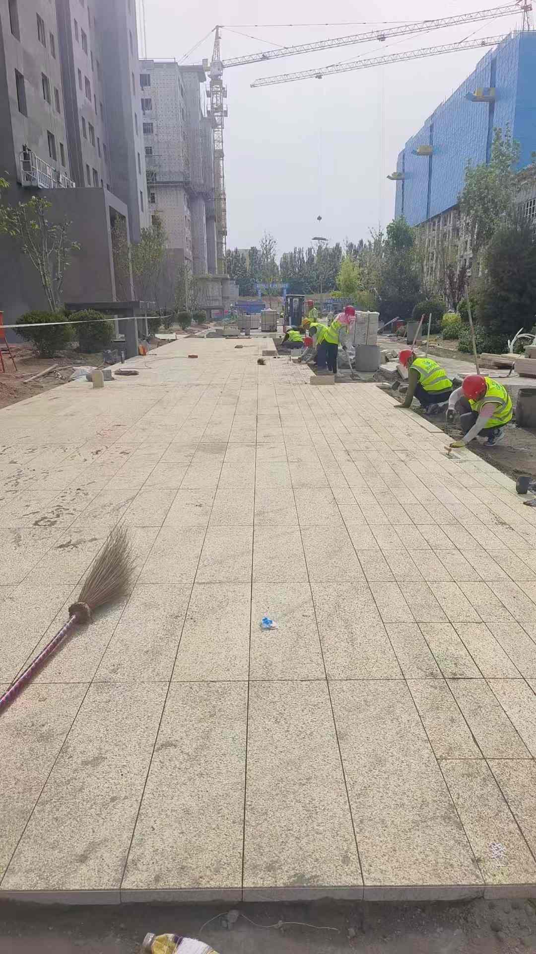 新疆黄金麻荔枝面地铺案例