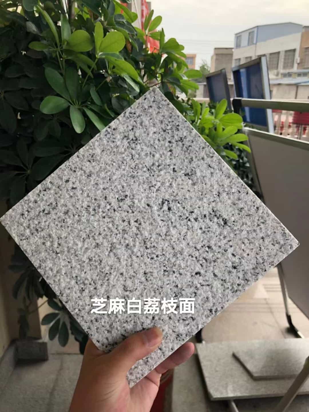 新疆 芝麻白荔枝面干挂