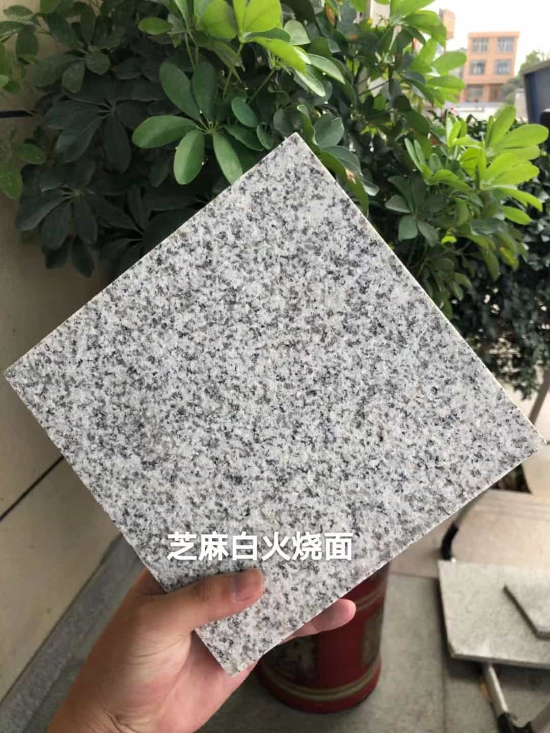 新疆芝麻白火烧面地铺